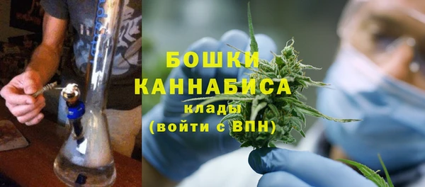 spice Новодвинск