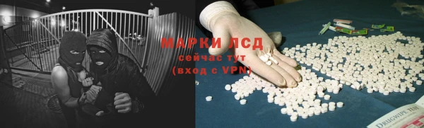тгк Алзамай