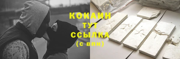 тгк Алзамай