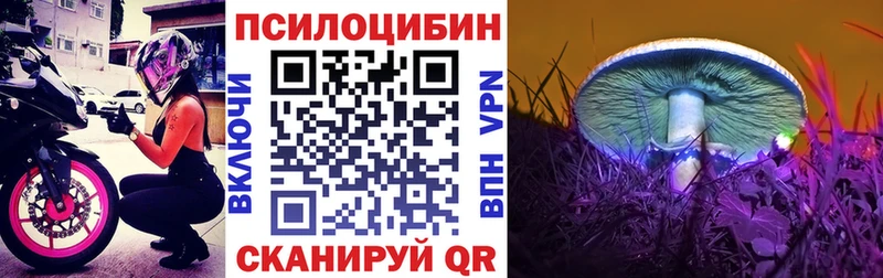 где купить наркотик  Отрадная  Псилоцибиновые грибы Psilocybine cubensis 