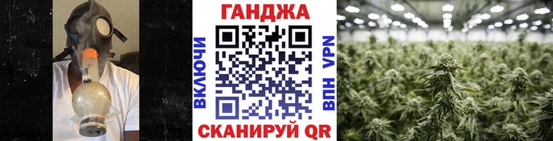 Бошки Шишки семена  Отрадная 